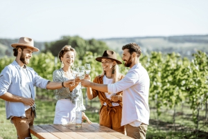 Дегустационный тур в Стон, Пелешац и Корчулу