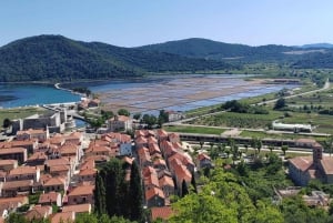 Ston private walking tour with the walls and saltworks visit