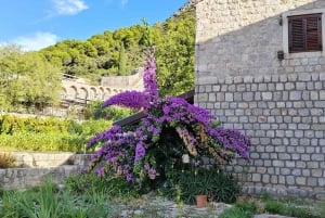 Ston private walking tour with the walls and saltworks visit