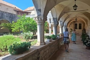 Ston private walking tour with the walls and saltworks visit