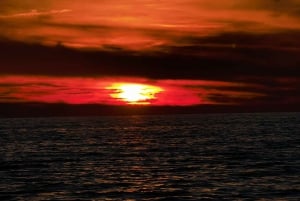 Zadar: Båttur i solnedgangen med champagne