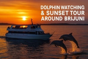 Sunset Dolphin Watching in Brijuni – All-Inclusive Boat Tour