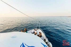 Sunset Dolphin Watching in Brijuni – All-Inclusive Boat Tour