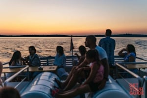 Sunset Dolphin Watching in Brijuni – All-Inclusive Boat Tour