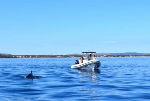 Zadar: Dugi Otokin saari – 2 x snorklausta ja hiekkaranta – 7 tuntia