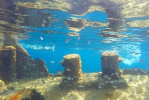 Zadar: Dugi Otokin saari – 2 x snorklausta ja hiekkaranta – 7 tuntia
