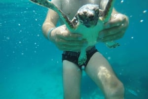 Zadar: Dugi Otokin saari – 2 x snorklausta ja hiekkaranta – 7 tuntia
