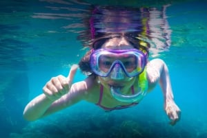 SURPRISE TOUR KORNATI & TELASCICA Boat Tour(po Polsku)