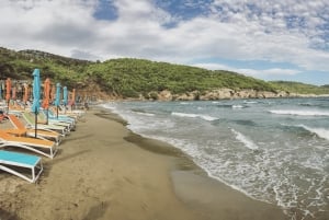 Three Island Boat Tour With Lunch