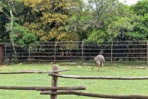 Overføringer fra Split til Mostar, Međugorje og Dubrovnik