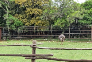 Трансферы из Сплита в Мостар, Меджугорье и Дубровник.