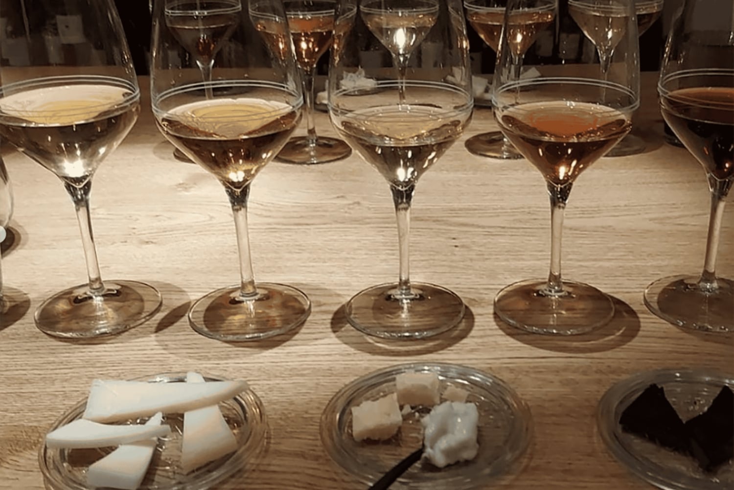 Trieste: Vinsmaking fra Istria, Carso og Friuli-terroirene