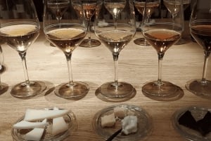 Trieste: Vinsmaking fra Istria, Carso og Friuli-terroirene