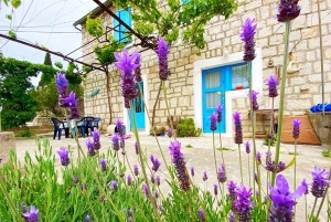 Trogir: Bådtur til Den Blå Lagune, Maslinica og Solinska-bugten