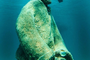 Trogir: Bootstour zum einzigartigen Unterwassermuseum