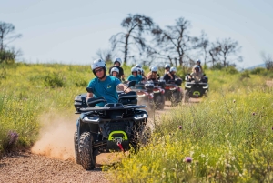 Trogir: Čiovo Quad Safari – vild natur og panoramaudsigt!