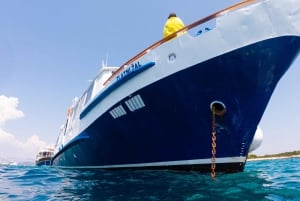 Naufragio - Laguna Blu All Inclusive + Tour a piedi di Trogir