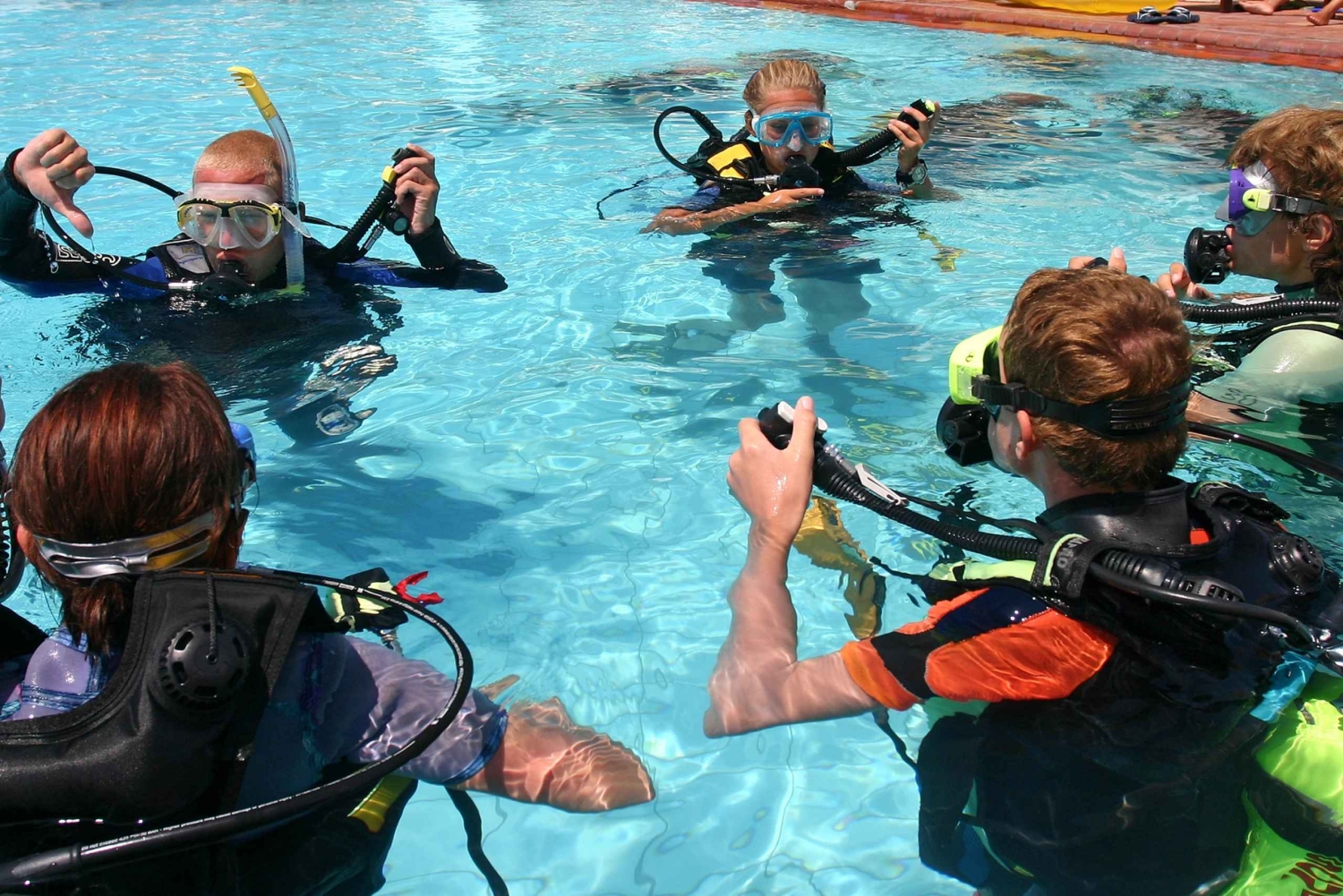 トゥチェピ：ガイド付きダイビングとギアを備えたアドリア海ダイビング レッスン