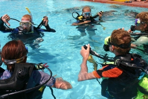 トゥチェピ：ガイド付きダイビングとギアを備えたアドリア海ダイビング レッスン