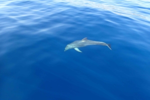 Tucepi: Bootstour zum Schnorcheln an der Makarska Riviera