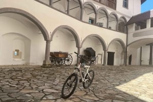 Tuheljske Toplice: Castles and churches by e-bike