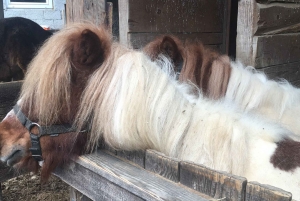 Tuheljske Toplice: e-bike tour naar Veliko Trgovišće