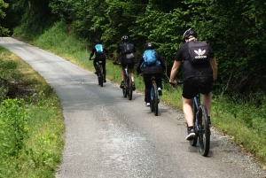 Tuheljske Toplice: Elcykeltur med vinsmagning
