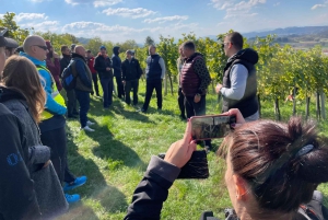 Tuheljske Toplice: Elcykeltur med vinsmagning