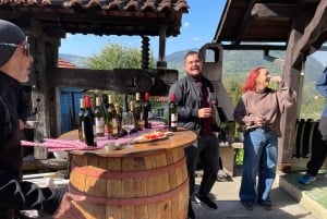 Tuheljske Toplice: tour en bici eléctrica con cata de vino