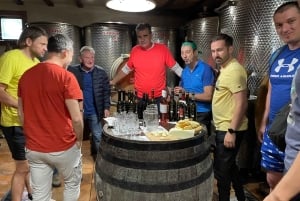 Tuheljske Toplice: tour en bici eléctrica con cata de vino