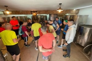 Tuheljske Toplice: tour en bici eléctrica con cata de vino