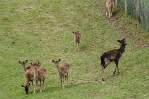 Tuheljske Toplice: Klanjec Wineries Tour mit dem E-Bike