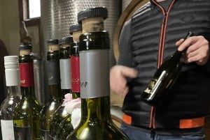 Tuheljske Toplice: Klanjec Wineries Tour mit dem E-Bike