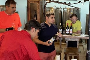 Tuheljske Toplice: Klanjec Wineries Tour mit dem E-Bike