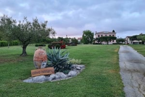 Umag: Olive Oil, Wine, and Local Food at a Family Farm