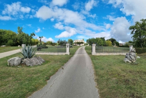 Umag: Olive Oil, Wine, and Local Food at a Family Farm