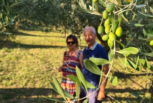 Umag: Olive Oil, Wine, and Local Food at a Family Farm