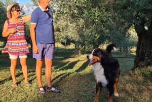 Umag: Olive Oil, Wine, and Local Food at a Family Farm