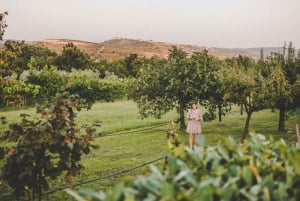 Umag: Olive Oil, Wine, and Local Food at a Family Farm