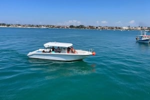 Umag: Passeio de barco pela manhã com mergulho com snorkel e observação de golfinhos