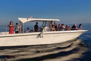 Umag: Passeio de barco pela manhã com mergulho com snorkel e observação de golfinhos