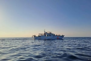 Umag: Sunset Cruise with Dolphin Spotting