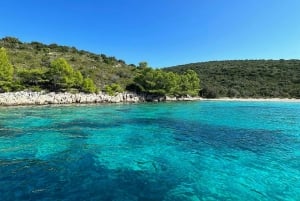 フヴァル発VIPボート体験：5つの島、4つのビーチ、3つの洞窟をご案内いたします