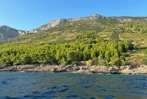 フヴァル発VIPボート体験：5つの島、4つのビーチ、3つの洞窟をご案内いたします