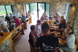 Vodice: Vinarija Birin Winery Tour with Wine Tasting