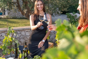 Vodice: Vinarija Birin Winery Tour with Wine Tasting