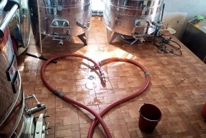 Vodice: Vinarija Birin Winery Tour with Wine Tasting