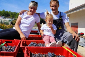 Vodice: Vinarija Birin Winery Tour with Wine Tasting