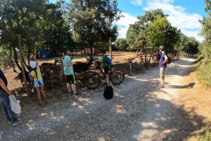 Pula-Vodnjan-Rovinj: E-Bike forteress tour with snorkeling