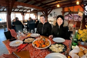 Vodnjan: E-Bike Tour with traditional dinner